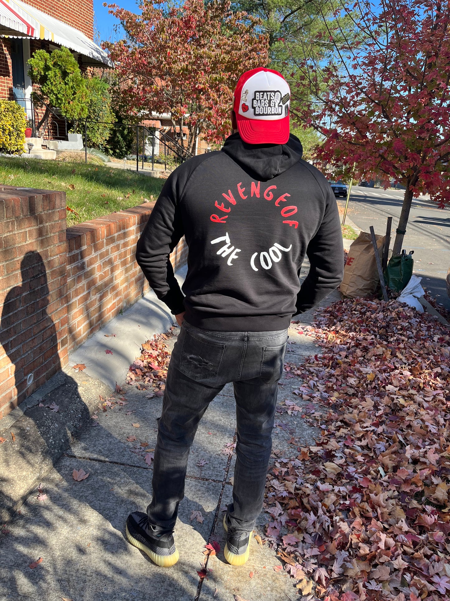 Revenge of the Cool hoodie (SOLD OUT)